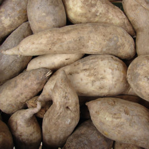 Batata bianca azienda agricola Dolceamaro