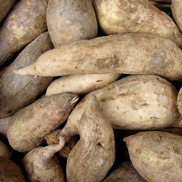 Batata bianca Azienda Agricola Dolceamaro