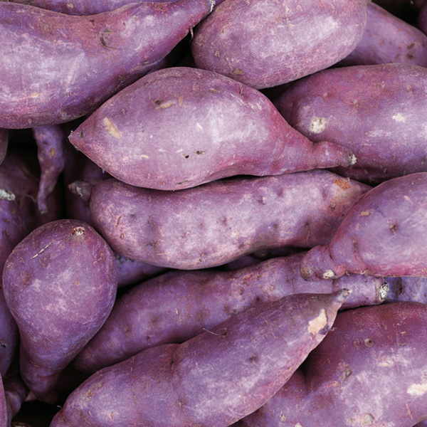 Batata viola