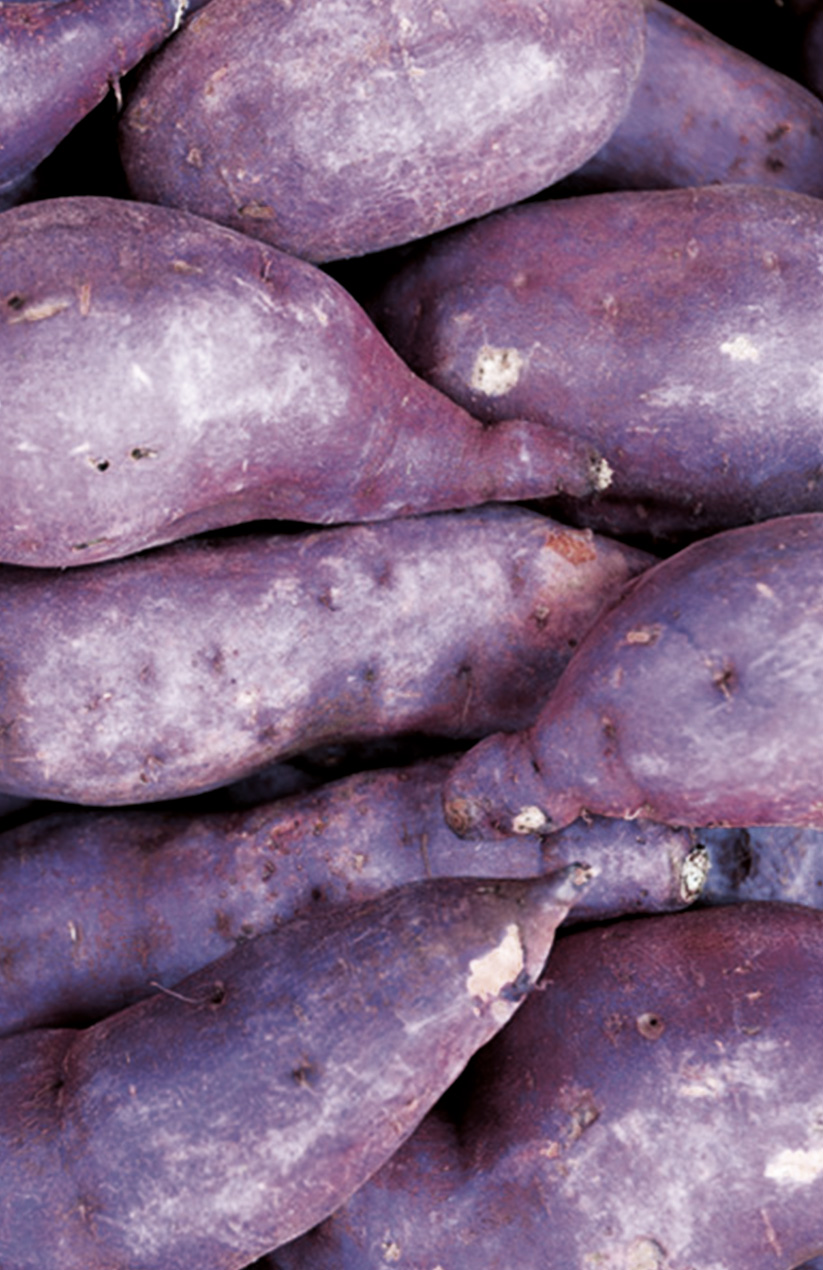 Batata viola Azienda Agricola Dolceamaro